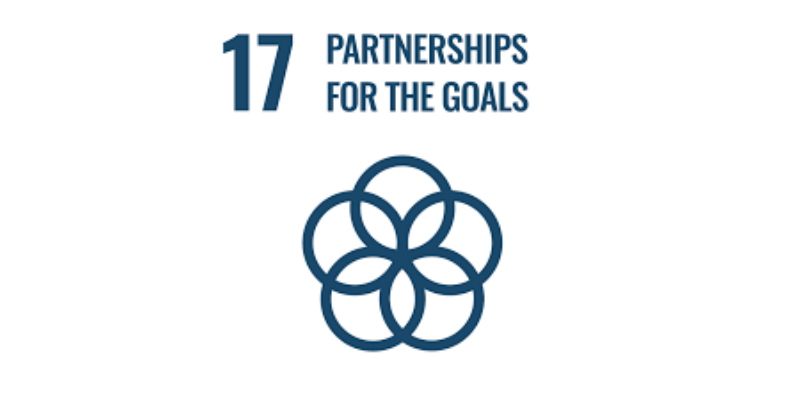 SDG17