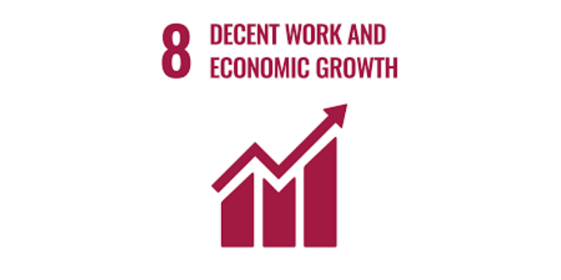 SDG8